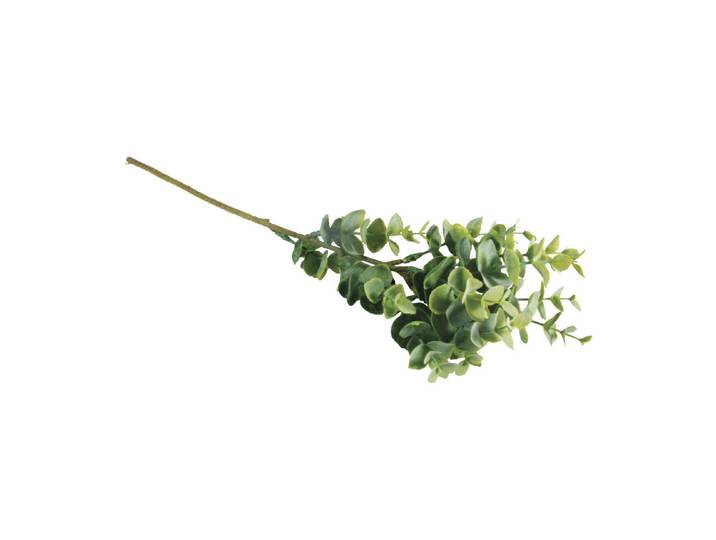 Rayher Buchs-Zweig 40 cm