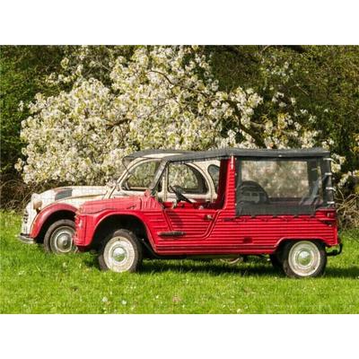 CALVENDO Puzzle Zweizylinder Treffen unter dem Kirschbaum | 1000 Teile Lege-Größe 64x48cm Foto-Puzzle für glückliche Stunden