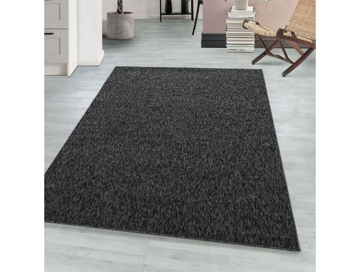 Teppium Tapis de Salon Moderne Uni Noir Chiné 280x370 cm - Boucles Courtes Entretien Facile Tapis Uni