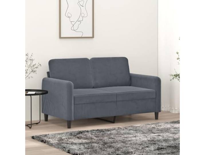 HEFZGDB 2-Sitzer-Sofa Dunkelgrau 120 cm Samt Modernes Metallgestell Bequeme Polsterung Luxuriöser Stoff Robuste Stabilität Weiche Sitzflächen Elegantes Design Wohnzimmer Möbel