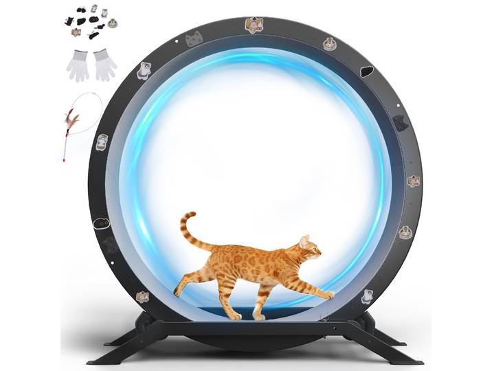 GTPLAYER Vélo d'équilibre pour chat, grand modèle, pour appartement, avec tapis amovible et autocollants ludiques