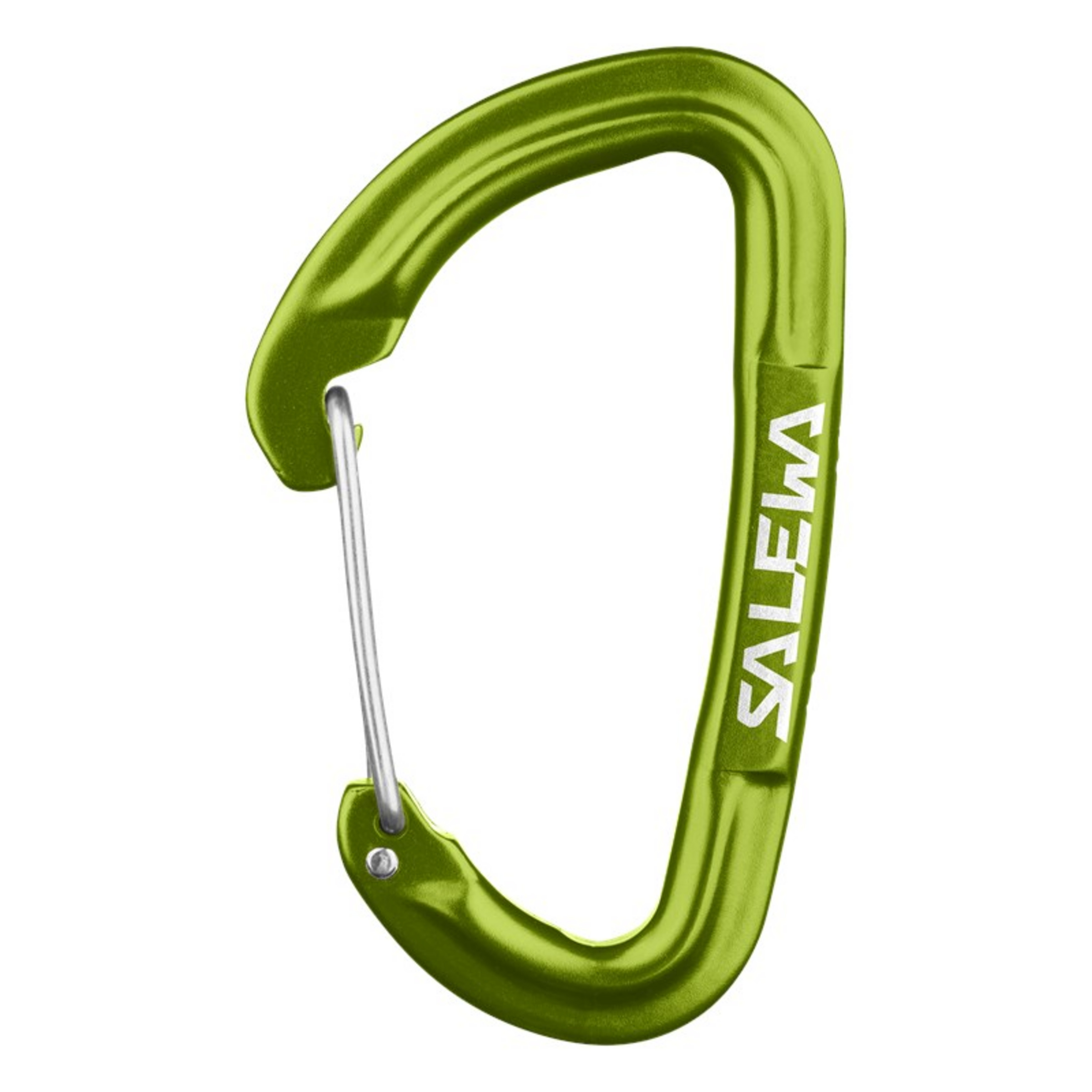 Salewa Hot G3 Wire Karabiner Karabiner gruen Alpinklettern | Eisklettern | Sportklettern