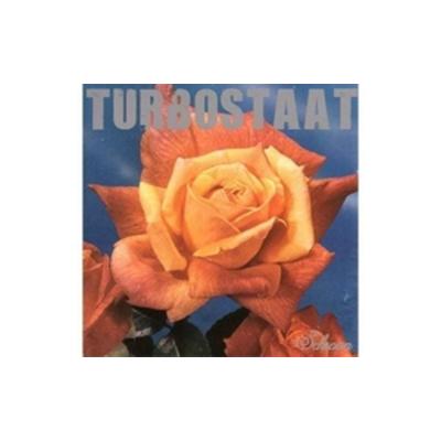 Schwan - Turbostaat, Vinyl