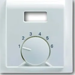 Busch-Jaeger Zentralscheibe elf/ws 1794 TA-72