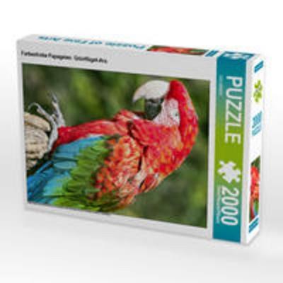 CALVENDO Puzzle Farbenfrohe Papageien: Grünflügel-Ara. | 2000 Teile Lege-Größe 90x67cm Foto-Puzzle für glückliche Stunden