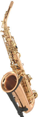 Forestone RX Red Brass GL Alto Sax