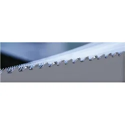 Magni, Sägeblatt, Röntgen Metallsägeband HSS-Co8 Profile 2362x20x0,9 12-16Z