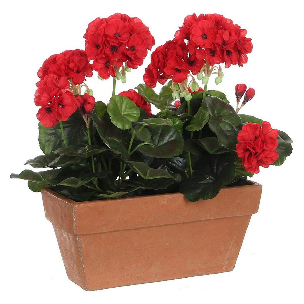 Mica Geranium (Rot) (1044337)