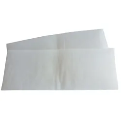 MAICO 0093.0891 Luftfilter, WSG 250 für Raumluft-System WS 250, 2 x G4 00930891