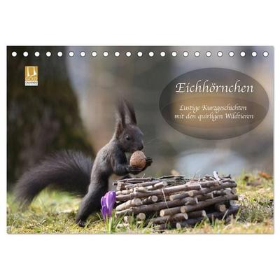 Eichhörnchen - Lustige Kurzgeschichten mit den quirligen Wildtieren (Tischkalender 2027 DIN A5 quer), CALVENDO Monatskalender
