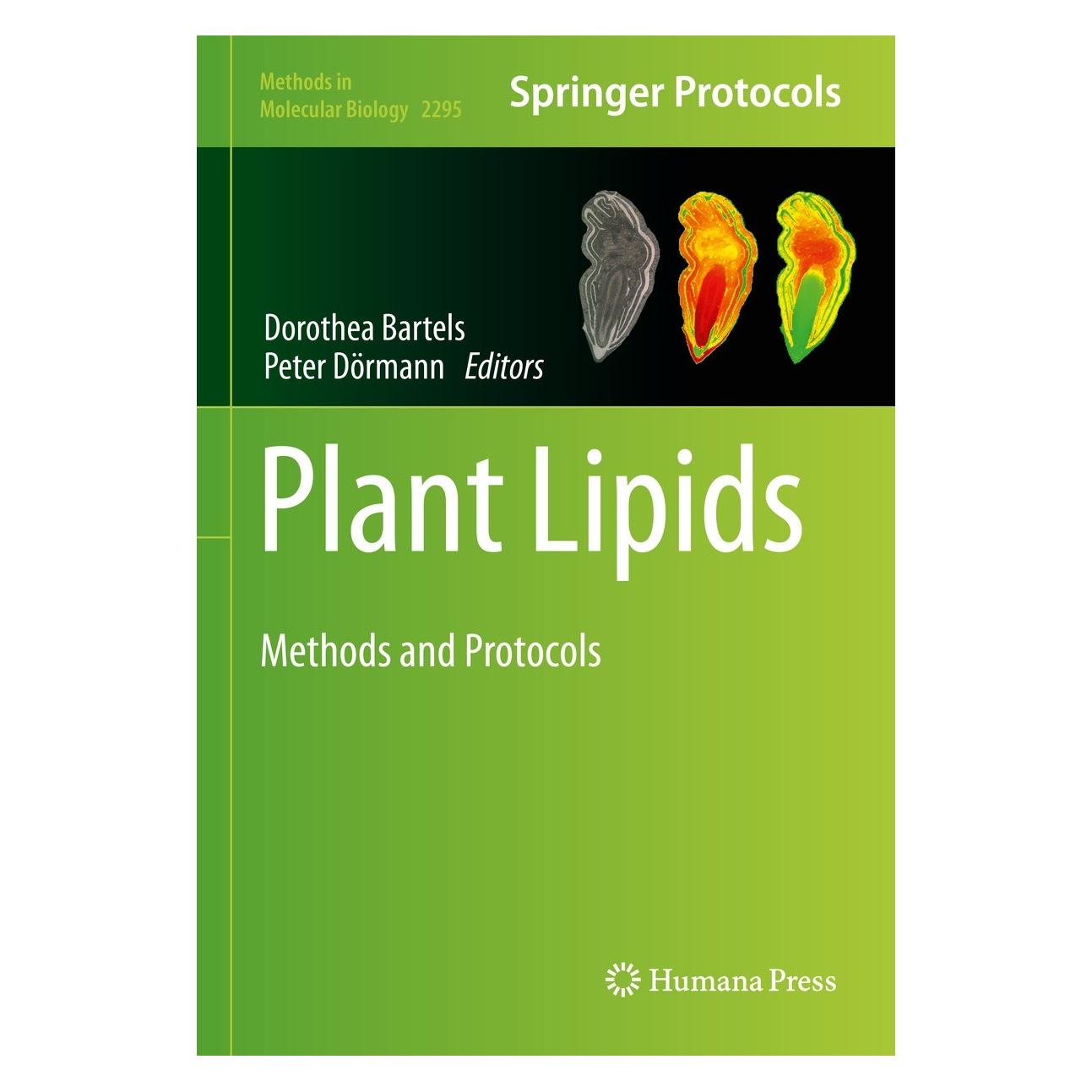 Springer Plant Lipids (Englisch, Hardcover, Dorothea Bartels, Peter Dörmann) (9781071613610)