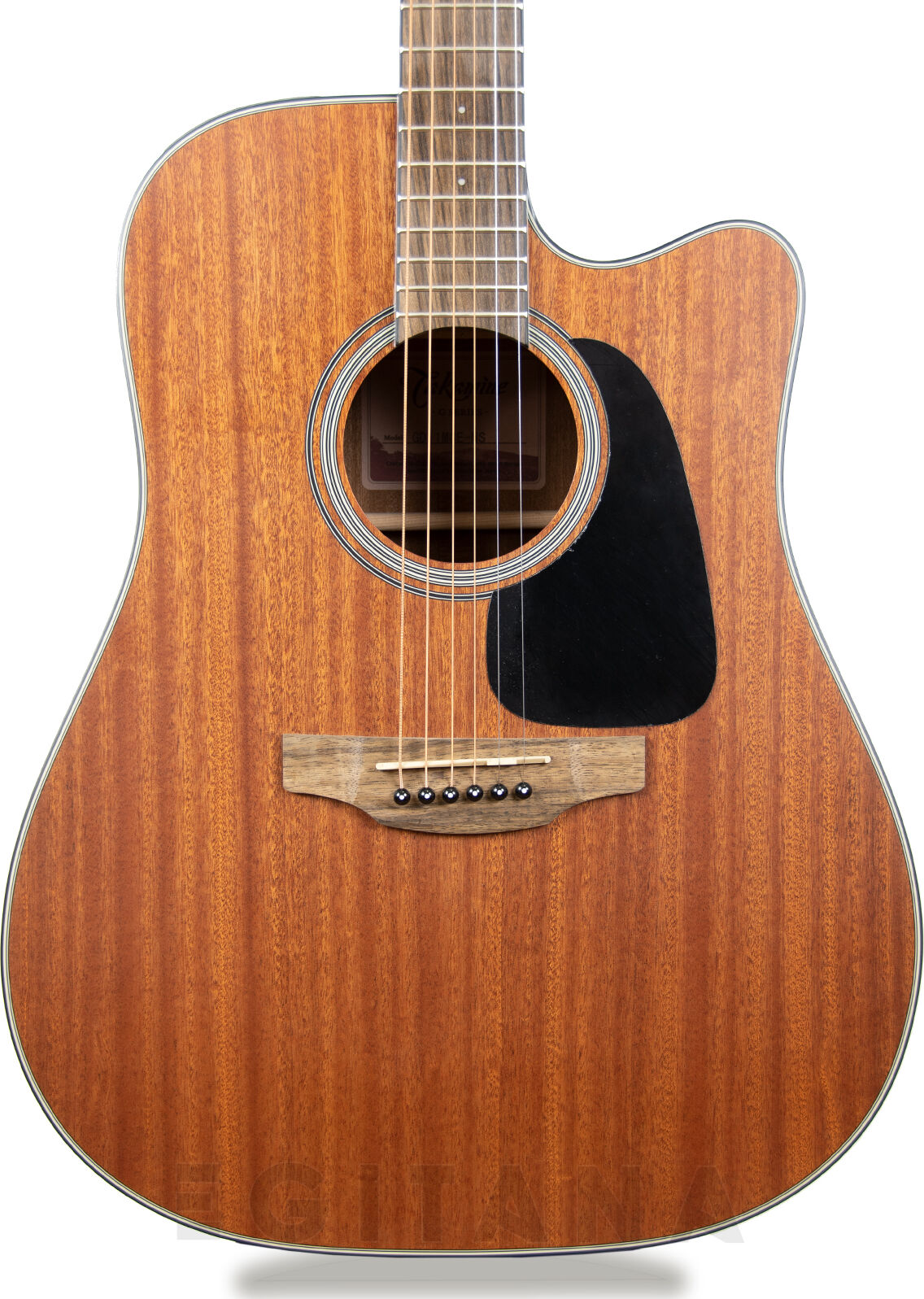 Takamine GD11MCE-NS