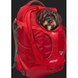 Kurgo G-Train Hunderucksack, Rot