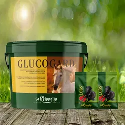St. Hippolyt Glucogard 3 kg + St. Hippolyt Lobs Belohnungswürfel 2 x 1 kg geschenkt