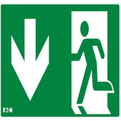 Ceag Notlichtsysteme Piktogramm LUM10573