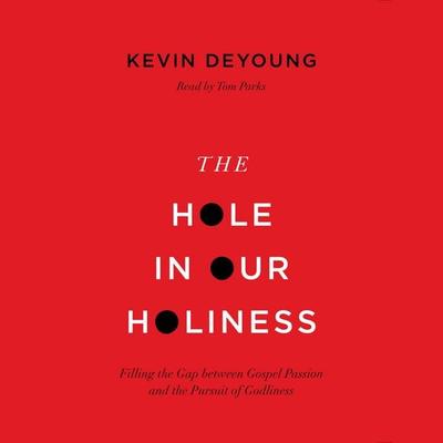 The Hole in Our Holiness - Kevin DeYoung, Audio, 9798874901691
