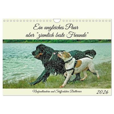 Ein ungleiches Paar aber 'ziemlich beste Freunde' (Wandkalender 2026 DIN A4 quer), CALVENDO Monatskalender