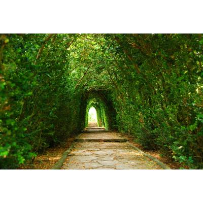 Fototapete PAPERMOON "Gartenweg", bunt, B:2m L:1,49m, Vlies, Tapeten