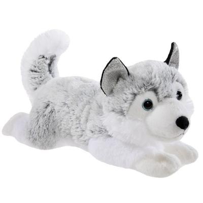 Winter Husky