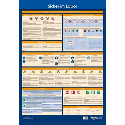 Wandtafel Sicher im Labor, Poster von Ecomed-Storck GmbH, Ecomed-Storck, 978-3-609-69093-3