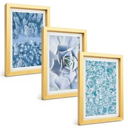 BILDER SET 3er Set - 20x30 cm Goldrahmen - Winterwald blaue Blume Wasser