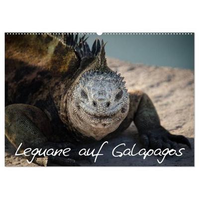 Leguane auf Galapagos (Wandkalender 2026 DIN A2 quer), CALVENDO Monatskalender
