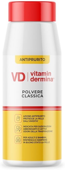 IST.GANASSINI SpA Vitamindermina Polvere 100g