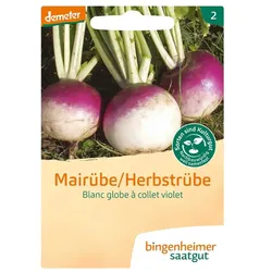 Mairübe - Blanc globe à collet violet