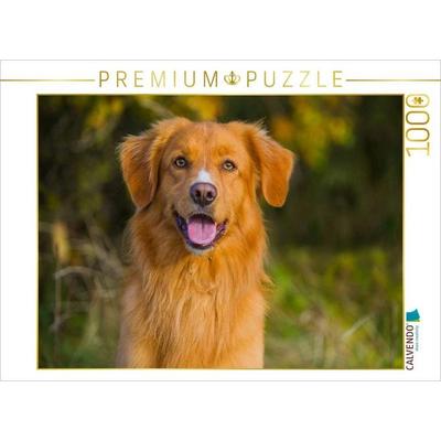 CALVENDO Puzzle Nova Scotia Duck Tolling Retriever Porträt eines Rüden | 1000 Teile Lege-Größe 64x48cm Foto-Puzzle für glückliche Stunden