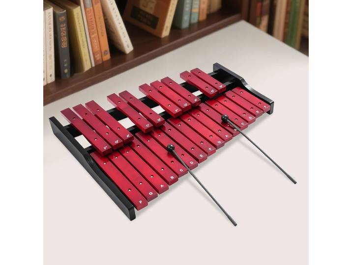Xylophone en bois de pin à 25 notes, avec étui de transport, pour leçons de musique, spectacle en direct, Concert, Instrument de Xylophone professionnel