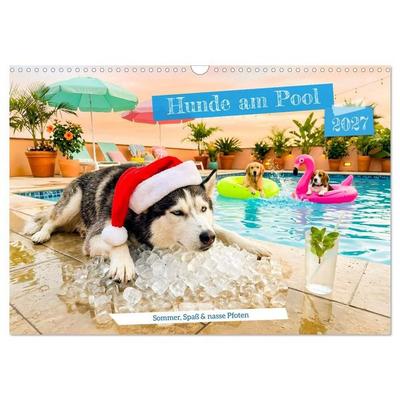 Hunde am Pool - Sommer, Spaß und nasse Pfoten (Wandkalender 2027 DIN A3 quer), CALVENDO Monatskalender