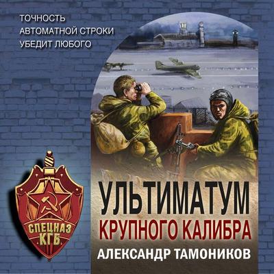 Ultimatum krupnogo kalibra - Aleksandr Tamonikov, Audio, 9785041748302