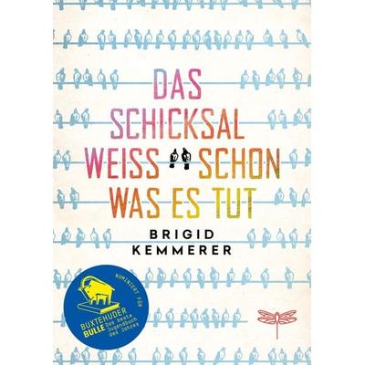 Das Schicksal weiß schon, was es tut, Gebundene Ausgabe von Brigid Kemmerer, Dragonfly, 978-3-7488-0011-8