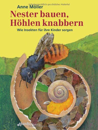 Anne Möller - Nester bauen, Höhlen knabbern: Wie Insekten für ihre Kinder sorgen - Preis vom 09.10.2026 07:28:09 h