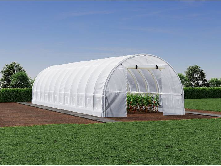 Foliengewächshaus mit Stahlrahmen - 36 m² - 300 x 1200 x 200 cm - Weiß - IPOMEA