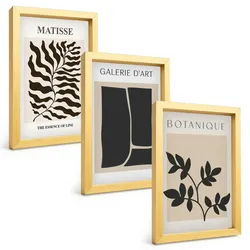 BILDER SET 3er Set - 20x30 cm Goldrahmen - Minimalistische Pflanzenposter