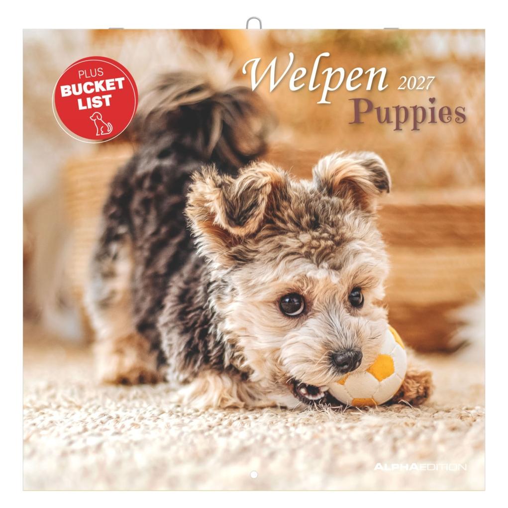 Alpha Edition Welpen 2027 (106701)