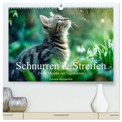 Schnurren & Streifen - Zwölf Monate mit Tigerkatzen (hochwertiger Premium Wandkalender 2027 DIN A2 quer), Kunstdruck in Hochglanz