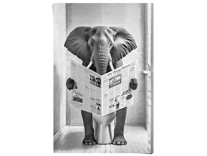 Poster, Elefant auf der Toilette, Toilette, Bilderdruckpapier, 91,5 x 61