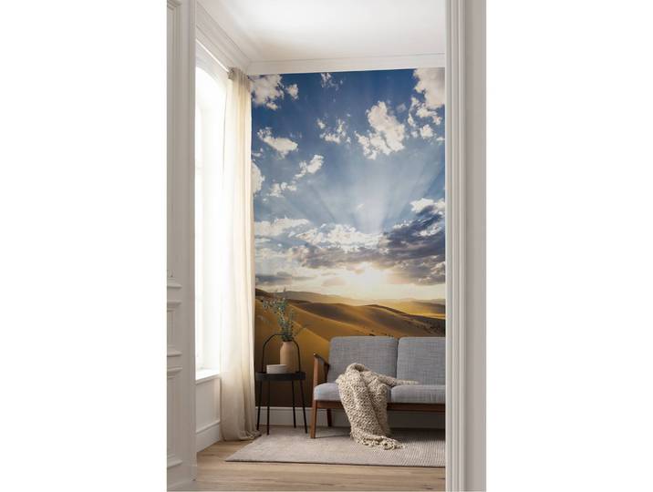 Papier peint intissé Magie du désert 200 x 280cm