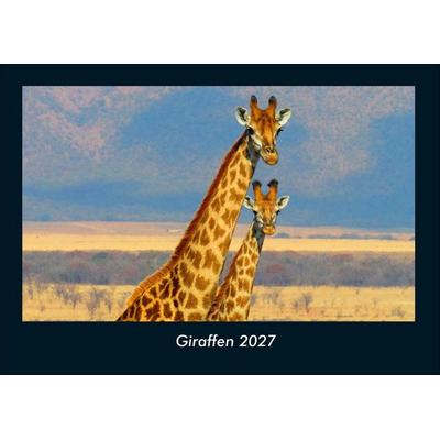 Giraffen 2027 Fotokalender DIN A4
