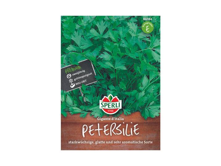 Sperli Petersilie Gigante d Italia'