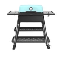 FORCE Gasgrill, Mint mint, 6,4 kW