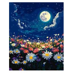 Ideyka Malen nach Zahlen - Mystische Nacht 40x50cm (70187867)