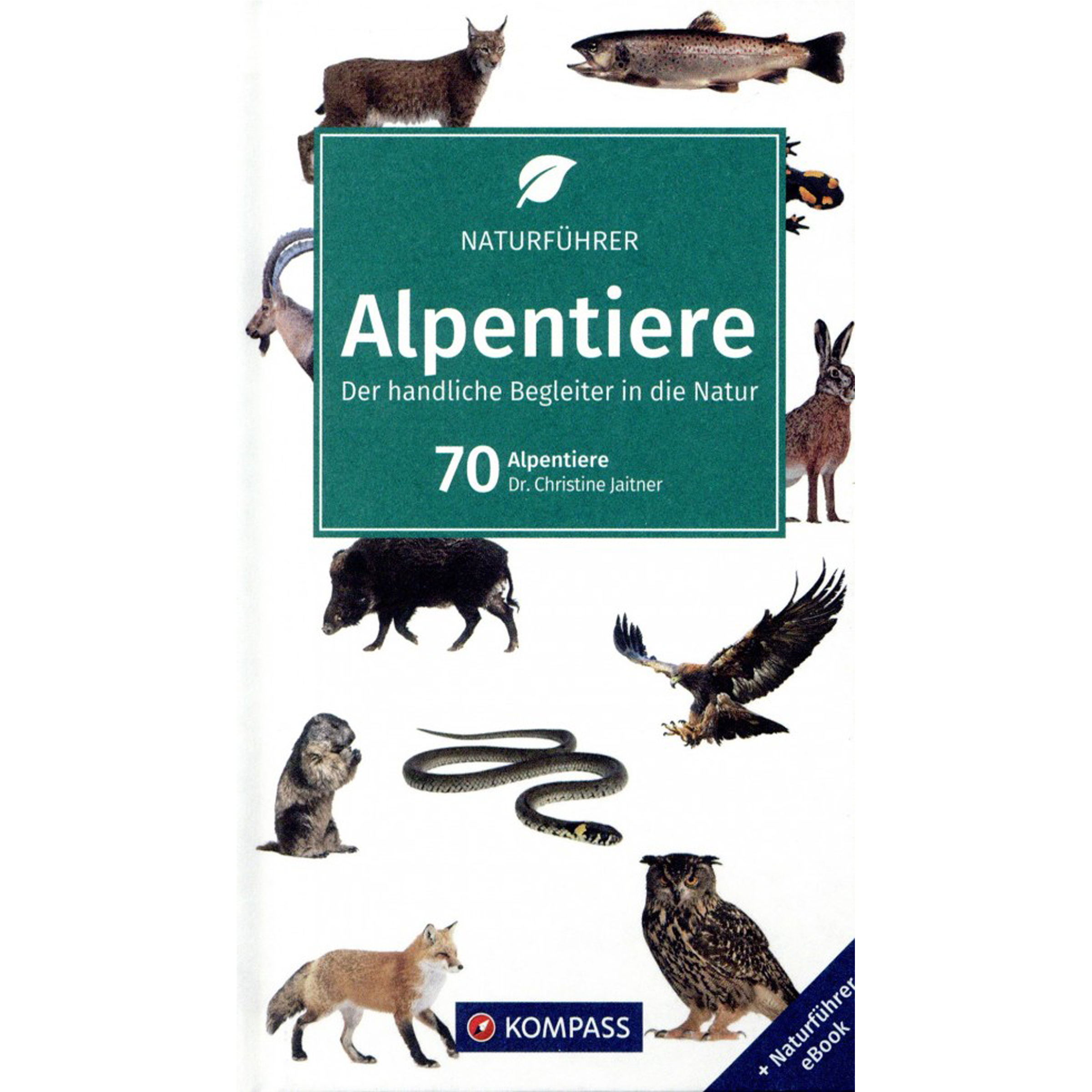 Kompass Verlag Alpentiere NF 1101 Naturführer Fachbücher 2. Aufl. 2025