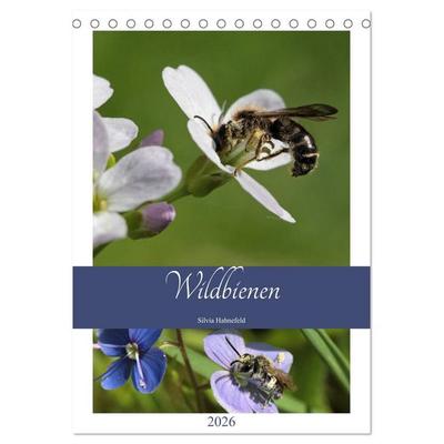 Wildbienen-Terminplaner 2026 (Tischkalender 2026 DIN A5 hoch), CALVENDO Monatskalender