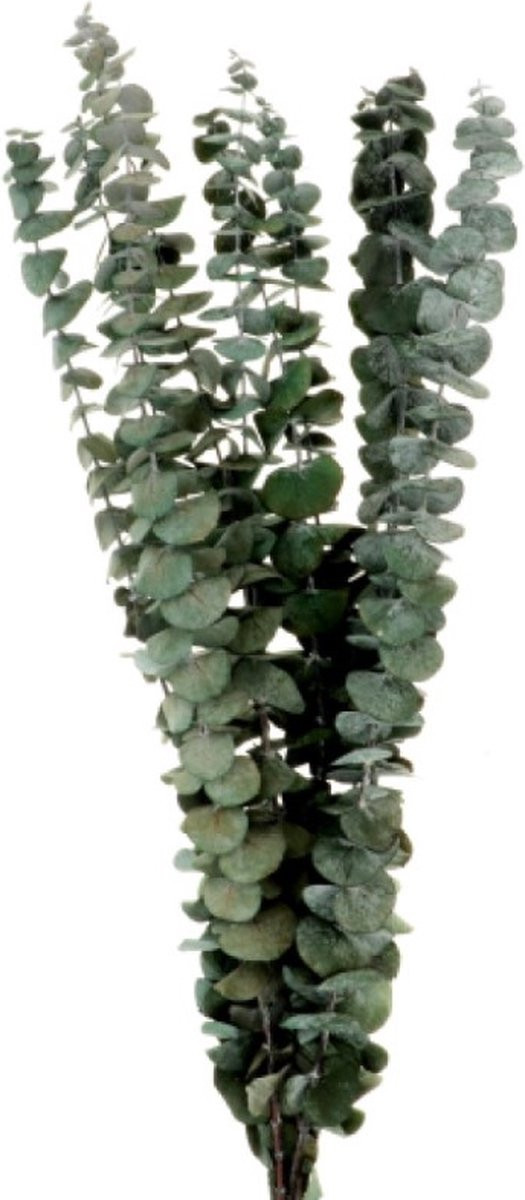 Boeket van gedroogde bloemen Artemio