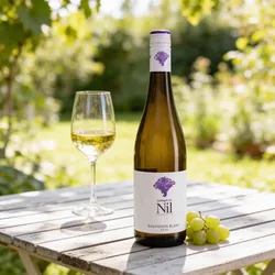 Weingut am Nil 2023 Weingut am Nil Sauvignon Blanc trocken 2023 Sauvignon Blanc Deutschland