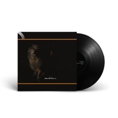 Showtunes - Lambchop, Vinyl