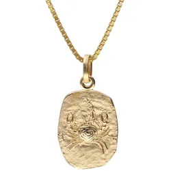 trendor 15382-07 Krebs Sternzeichen Gold 333 / 8K mit vergoldeter Silberkette, 40 cm